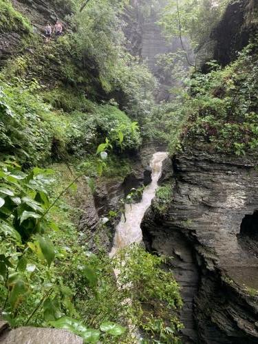 Watkins Glen State Park - Finger Lakes NY | 04