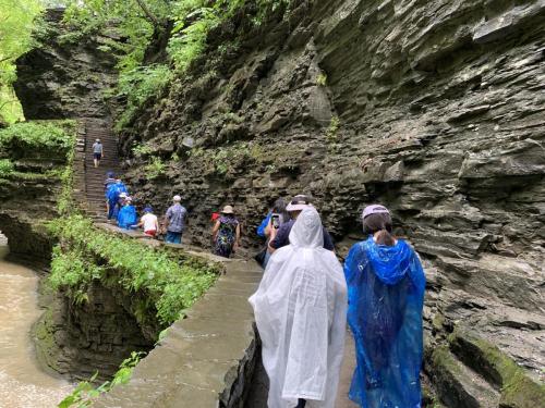 Watkins Glen State Park - Finger Lakes NY | 14