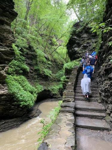 Watkins Glen State Park - Finger Lakes NY | 16