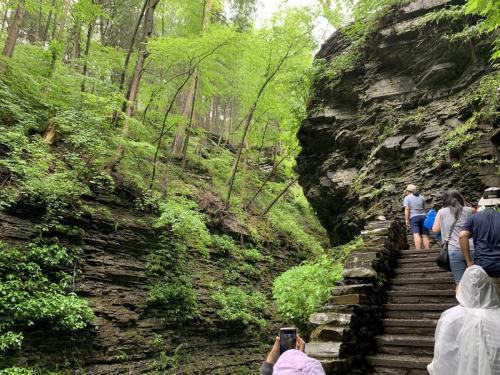 Watkins Glen State Park - Finger Lakes NY | 17