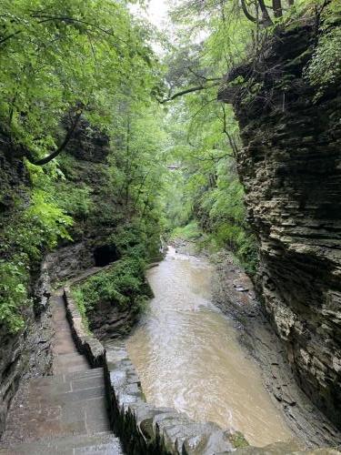 Watkins Glen State Park - Finger Lakes NY | 19