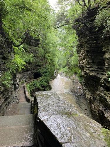 Watkins Glen State Park - Finger Lakes NY | 18