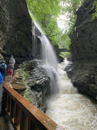 Watkins Glen State Park - Finger Lakes NY | 29