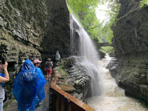 Watkins Glen State Park - Finger Lakes NY | 32