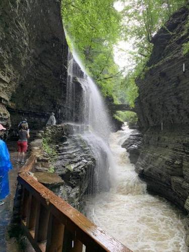 Watkins Glen State Park - Finger Lakes NY | 31