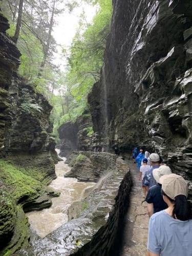 Watkins Glen State Park - Finger Lakes NY | 38