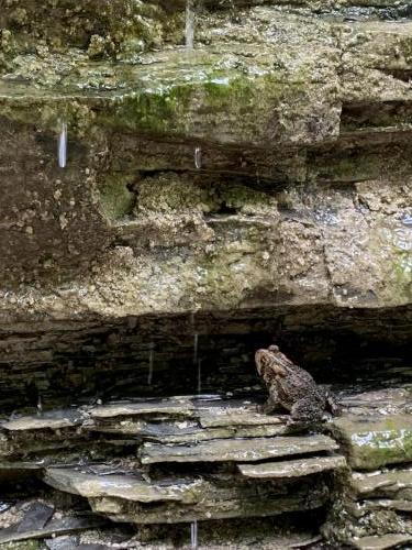 Watkins Glen State Park - Finger Lakes NY | 42