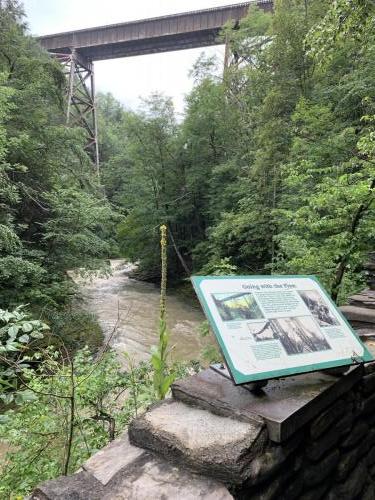 Watkins Glen State Park - Finger Lakes NY | 50