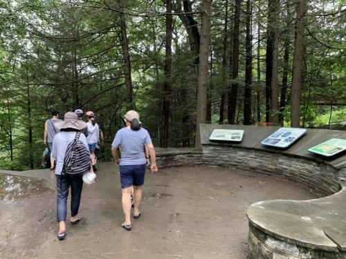 Watkins Glen State Park - Finger Lakes NY | 61