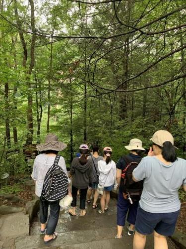 Watkins Glen State Park - Finger Lakes NY | 63