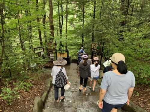 Watkins Glen State Park - Finger Lakes NY | 64