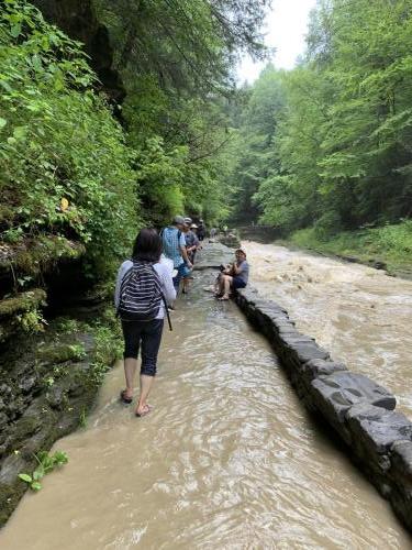 Watkins Glen State Park - Finger Lakes NY | 67