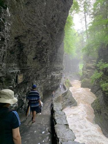 Watkins Glen State Park - Finger Lakes NY | 69