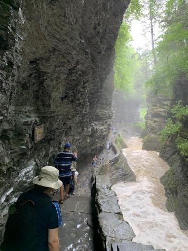 Watkins Glen State Park - Finger Lakes NY | 71