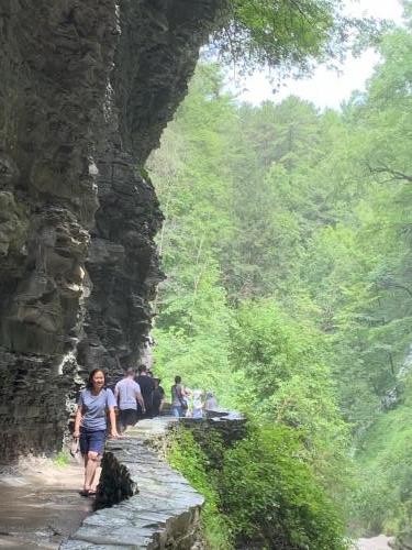 Watkins Glen State Park - Finger Lakes NY | 76