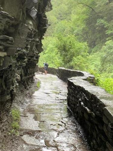 Watkins Glen State Park - Finger Lakes NY | 77